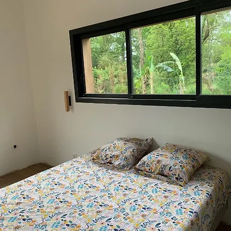 Villa Pinaceae *